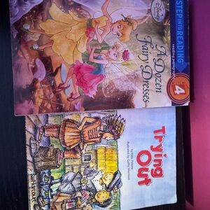 A Dozen Fairy Dresses Book by